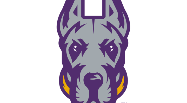 UAlbany Great Danes
